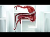 Anyone Have A Pet Octopus?