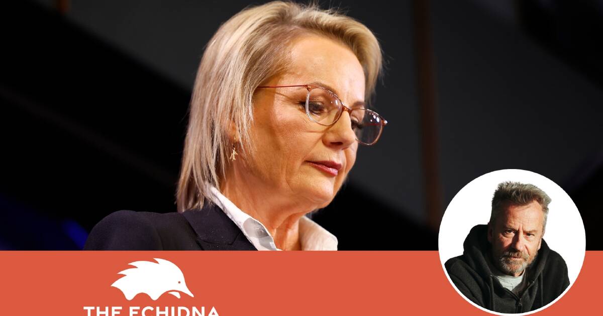 Coalition's week of own goals and political blunders