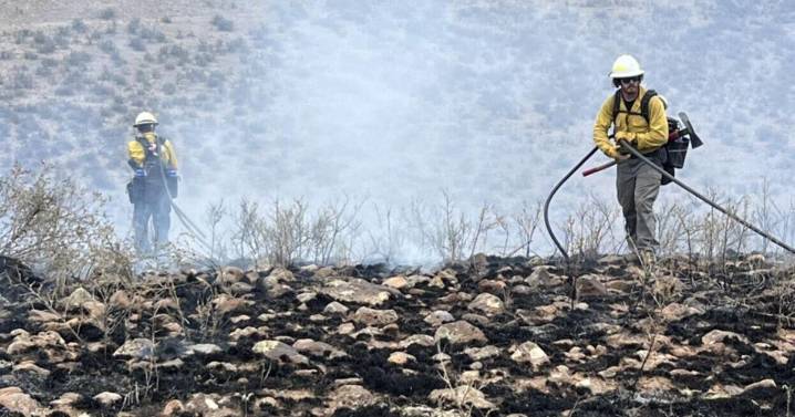 NM Forestry announces a lift on fire restrictions