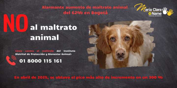 Maltrato animal en Bogotá: Una cifra en aumento exige un llamado a la acción