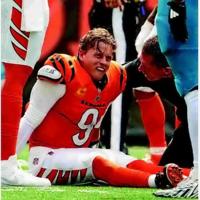 Dolphins' fall may go further