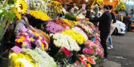 Estas son las flores ideales para regalar en el Día del Amor y la amistad en Colombia