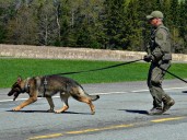 RCMP needed drones, dogs, armoured vehicles and helicopters for arrest of one man in northern B.C.