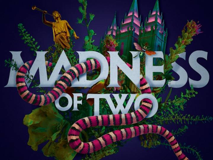 The Followers: Madness of Two