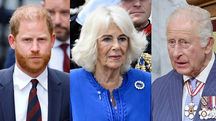 Queen Camilla reportedly fears Prince Harry is manipulating King Charles’ sympathy