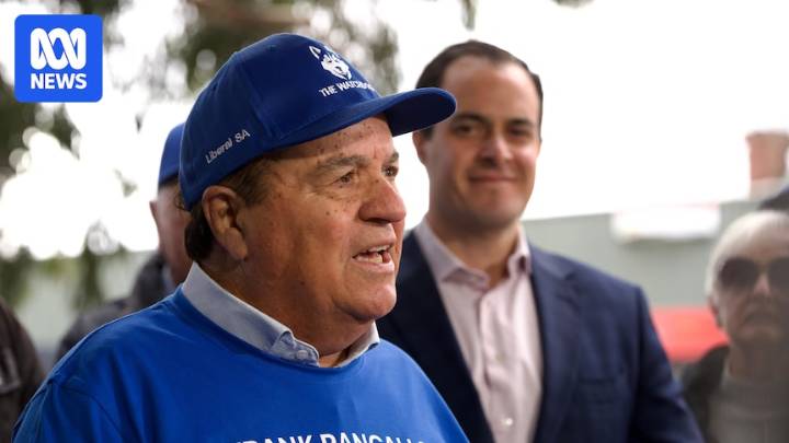 Frank Pangallo 'should have checked his sources' for algal bloom claims, Tarzia says
