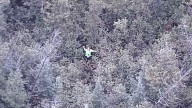 Una concursante de un reto de supervivencia en YouTube es rescatada tras pasar casi 18 horas perdida en el bosque