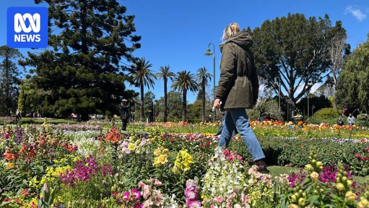 Carnival of Flowers visitors brace for wet weather while smelling the roses