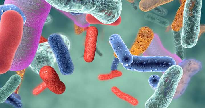Gut Microbiome Changes Link Soft Drinks with Depression