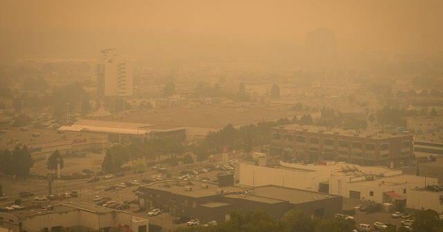 Study estimates 2023 Canadian wildfire smoke caused 82,000 premature deaths globally
