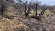 Detuvieron en Maipú a dos hombres con un rollo de tela robada