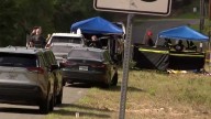 Deputies identify suspect in Eustis woman's murder as brother