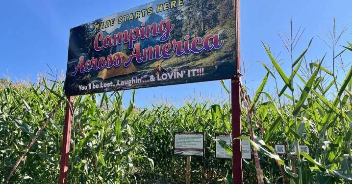 Fall into fun: Hathaway Farm & Corn Maze is autumn destination