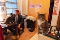 President Donald Trump dismisses Curtis Sliwa, cat-loving NYC Republican candidate for mayor, as ‘not exactly prime time’ – Chicago Tribune