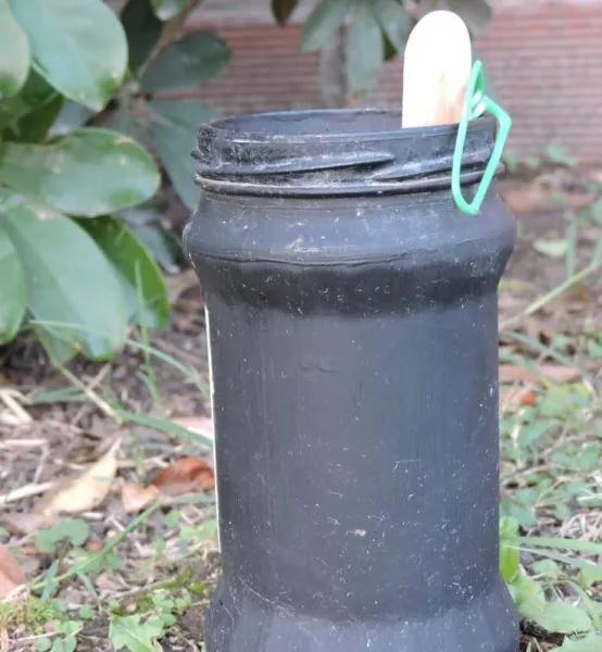 Lucha contra el dengue: Salta implementará "ovitrampas"  en las zonas más críticas