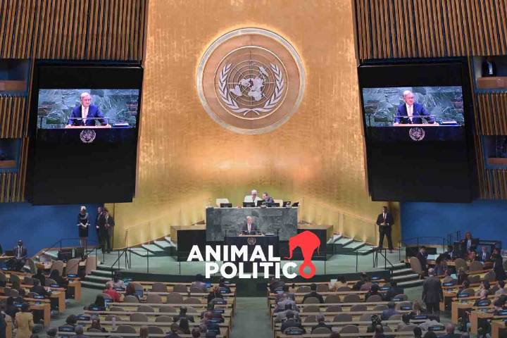 Proponen reducir 15% el presupuesto de la ONU para 2026; se eliminarían 2 mil 500 puestos de trabajo