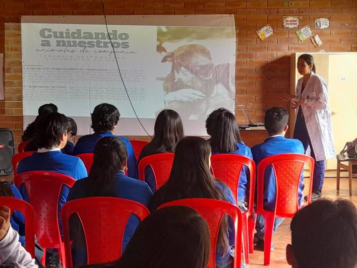 922 esterilizaciones caninas y felinas fueron realizadas durante el último mes en Boyacá