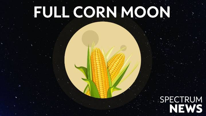 September's 'Corn Moon' rises this week