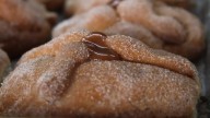 Octubre no se vive... ¡Se disfruta! Ruta del Pan de Muerto llega cargada de sabor, premios y mucha tradición