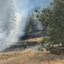 Spokane Fire Department seeks public assistant in brush fire investigation