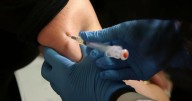 States move to protect vaccines in the face of attempts to remove mandates