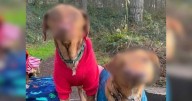 Dogs Born With Facial Deformities Prove Love Can Overcome Anything