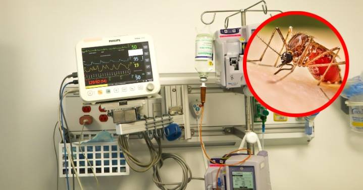 Menor de seis años sería la primera fallecida por dengue en Ibagué en lo corrido de 2025