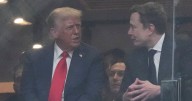 Is the Elon Musk-President Trump friendship rekindled?