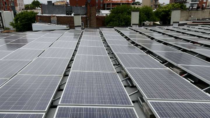 Safety at battery storage facilities, immigrants, the Holocaust