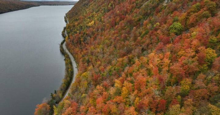 When regions around the US will see peak fall foliage