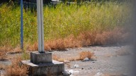 Finalizadas las tareas de extinción de los nuevos focos de incendios en la Cartuja