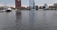 What's that stench near Baltimore's Inner Harbor? 25,000 dead fish could be the cause.
