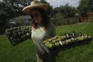 Move over, green lawns. Drier, warmer climate boosts interest in low-water landscaping – Winnipeg Free Press