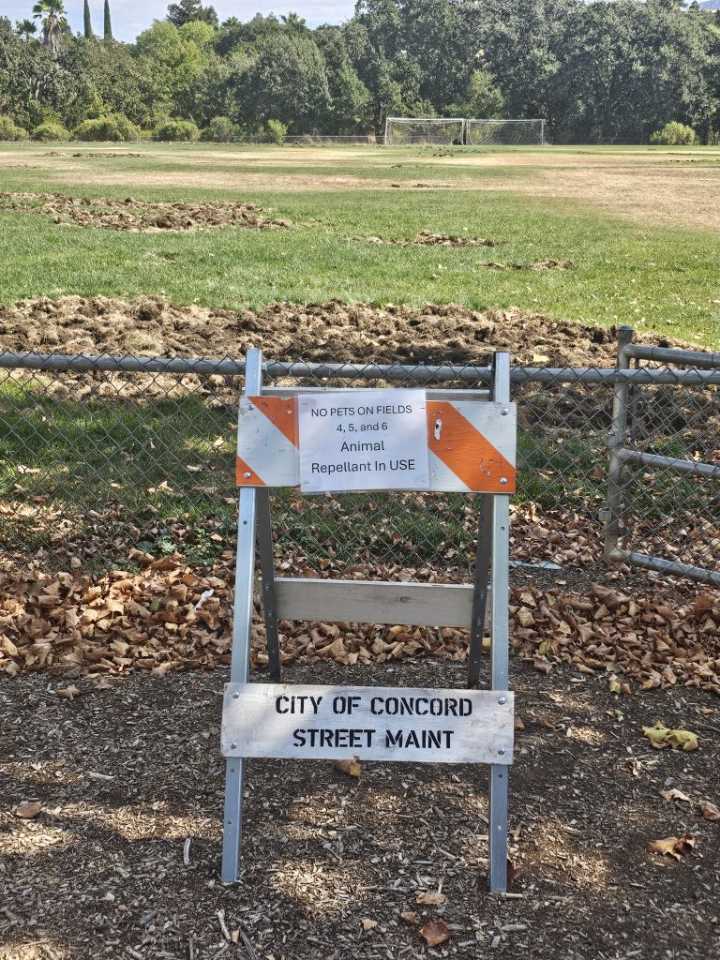 Keep Your Animals Off Fields 4, 5 And 6 At Boatwright In Concord