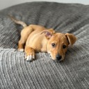 Our newest family member: Cliff Anthony