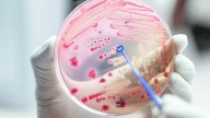 Australian Commission on Safety and Quality in Health Care: ‘Prevalence of sepsis worse than we thought’