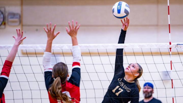 Prep volleyball: Royals drop season opener to Panthers