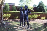 Williamsburg Regional Library Set to Host Third ComicCon