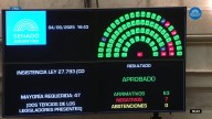 El Senado votó en contra del veto: la Emergencia en Discapacidad es ley