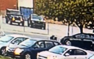 Heartbreaking Reaction of Dogs Dumped Outside Shelter Caught on CCTV