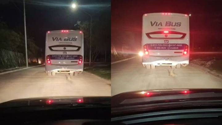Transporte de personal en Nuevo León arrastra brutalmente a un perrito