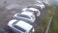 VIDEO | Un oso ataca a varias personas y un niño salva su vida por hacerse el muerto