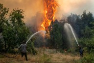 Presupuesto.  Denuncian fuertes ajustes en la política ambiental