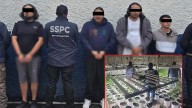 Detienen a cuatro presuntos integrantes de La Familia Michoacana durante operativos en CDMX