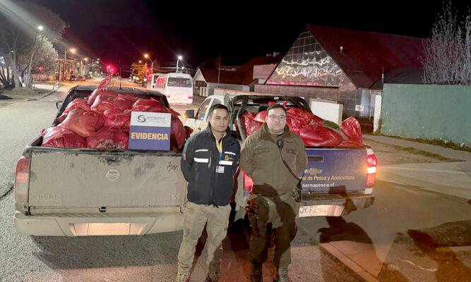 Chofer con orden de detención fue sorprendido  transportando sacos de centolla y ostiones
