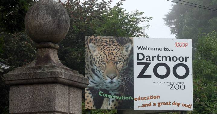 Devon zoos facing growing crisis amid post