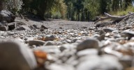 Lolo resident shares concerns about Lolo Creek drought