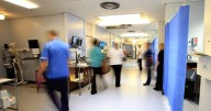 Map shows spread of 'biblical' infection on the rise in Kent