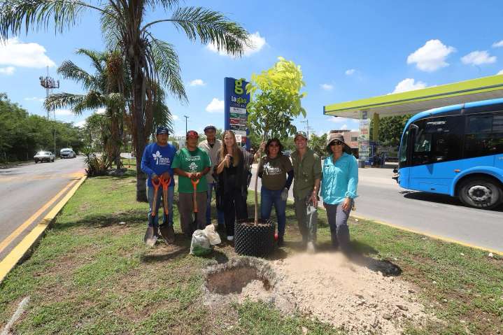 Árboles fuertes y un municipio más verde gracias a nueva manera de plantar: Cecilia