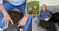 Scots woman mauled by XL-Bully 'lucky to be alive' after heroic man comes to rescue